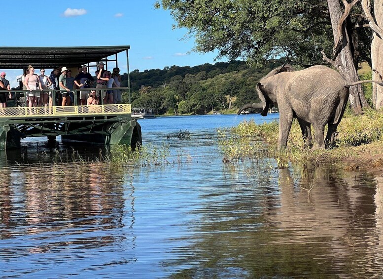 Picture 4 for Activity Kenya 5-Day Masai Mara, Nakuru, Naivasha Private Safari