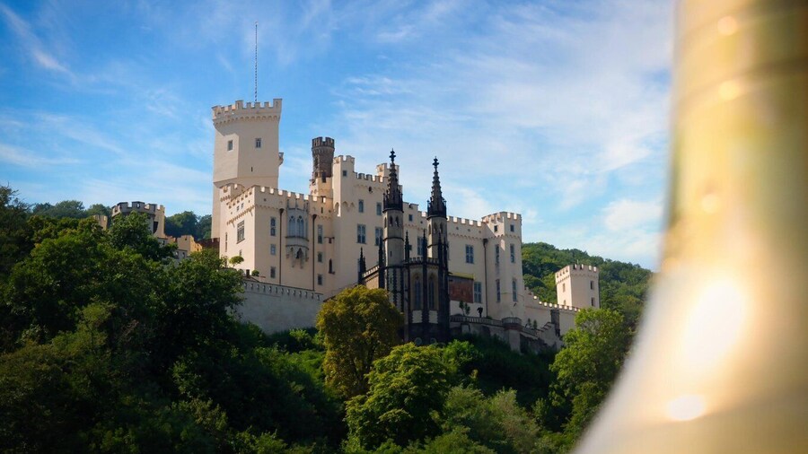 Koblenz:Boat trip on the Rhine along the castles and palaces