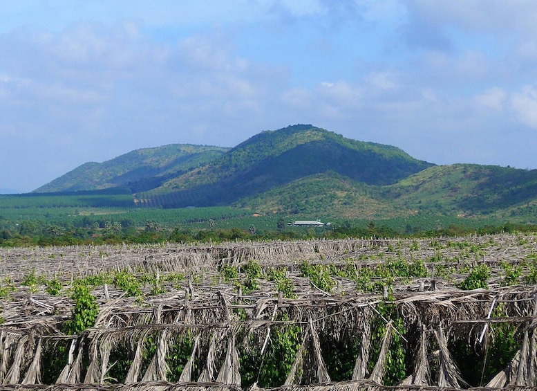 Picture 14 for Activity FULL DAY - Countryside Tuk-Tuk Pepper Tour + Kep