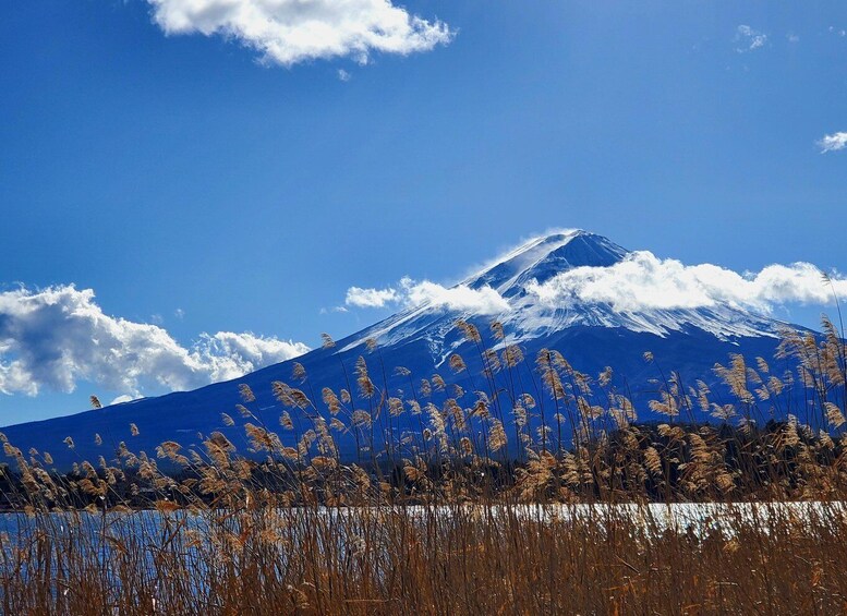 Picture 9 for Activity Mt Fuji: Full Day Private Tour with English Guide