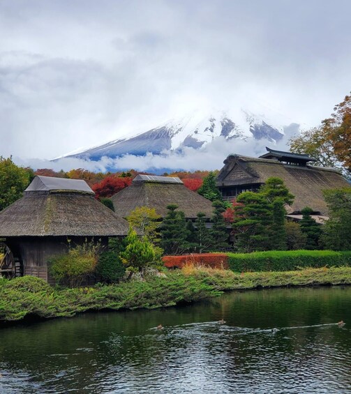 Picture 2 for Activity Mt Fuji: Full Day Private Tour with English Guide