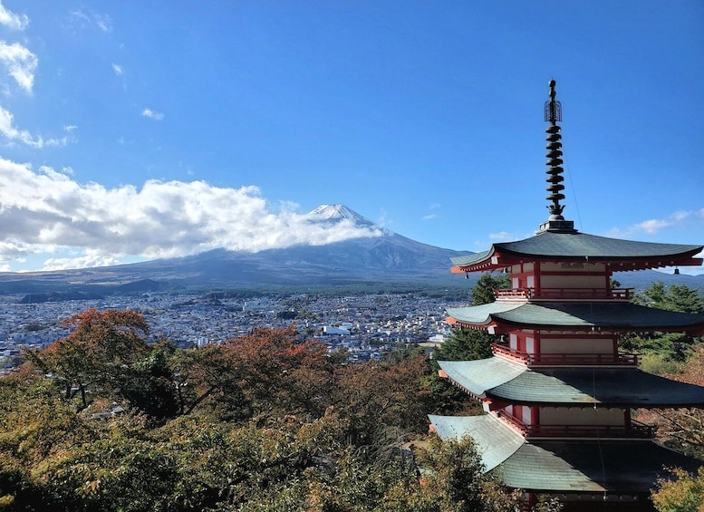 Picture 2 for Activity Mt Fuji: Full Day Private Tour with English Guide