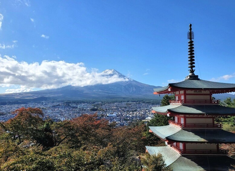 Picture 1 for Activity Mt Fuji: Full Day Private Tour with English Guide