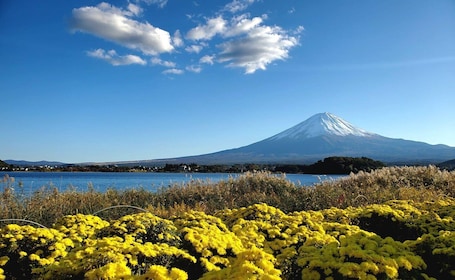 Guided Mt Fuji Private Tour GREEN NUMBER PLATES