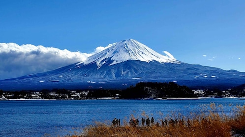 Mt Fuji: Full Day Private Tour with English Guide