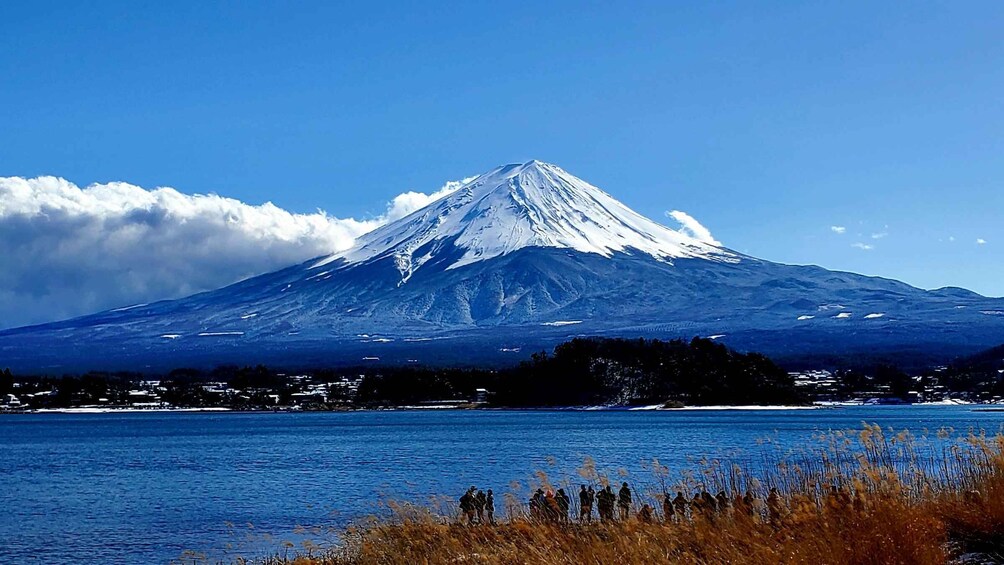 Mt Fuji: Full Day Private Tour with English Guide