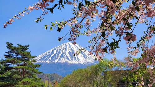 Full Day Mt Fuji English Guided Private Tour