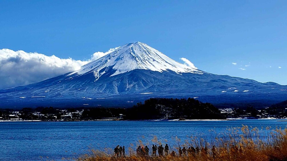 Mt Fuji: Full Day Private Tour with English Guide