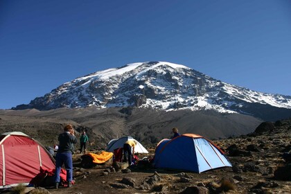 Kilimanjaro Climb-Machame Route 6 Days 5 Nights