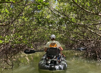 Fort Pierce: 2-hr Jungle Tour at Prehistoric Preserve in FL