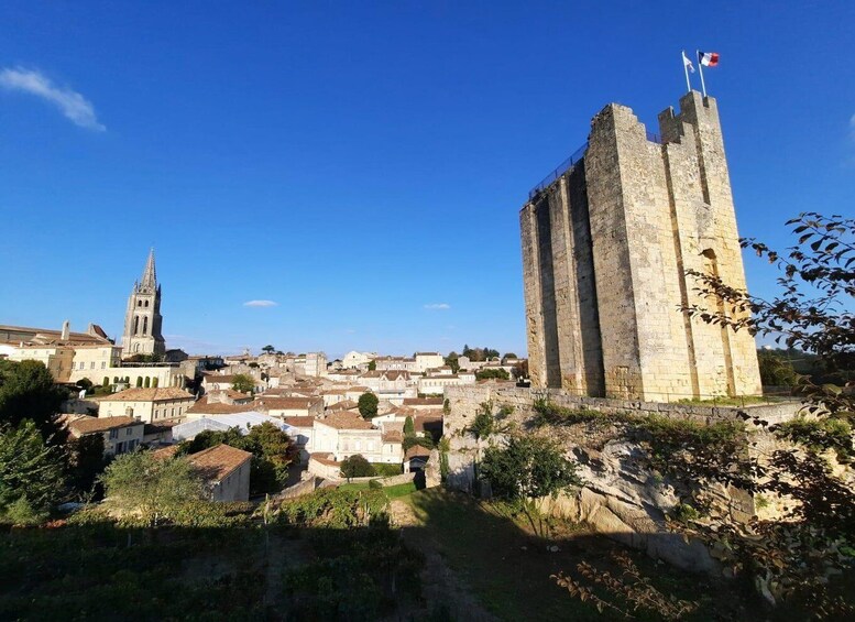 Picture 4 for Activity Enjoy Saint-Emilion with a Wine Tasting in 5 hours.