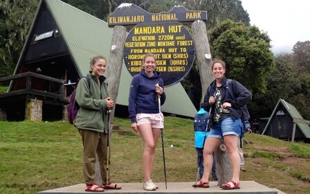 Excursión de un día al Kilimanjaro