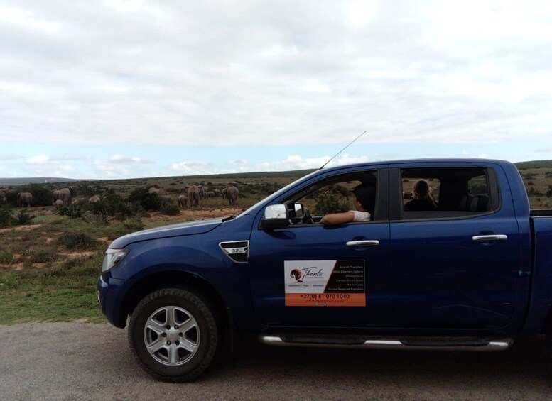 Picture 1 for Activity Addo Elephant National Park Game Drive Day Tour With Lunch