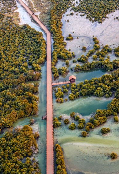 Picture 7 for Activity North Qatar: Zubara Fort, Jumail Village, Thakhira Mangroves