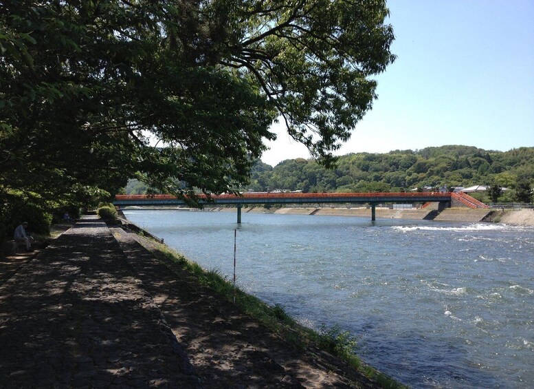 Picture 6 for Activity The Uji Hills : Walking tour over the scenic hills of Uji.