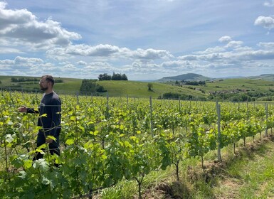 Private Beaujolais Wine Tour