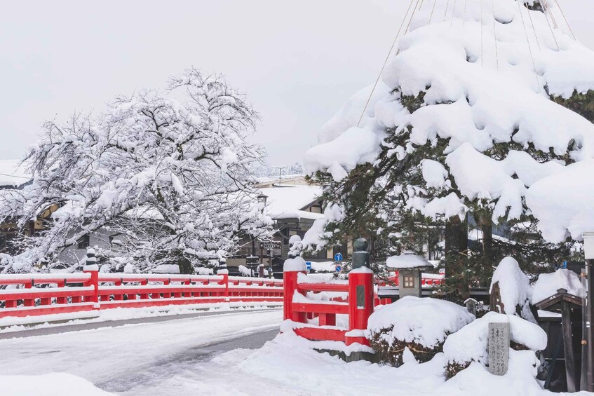 Picture 4 for Activity From Nagoya: Gujo, Hida Takayama, and Shirakawa-go Day Tour