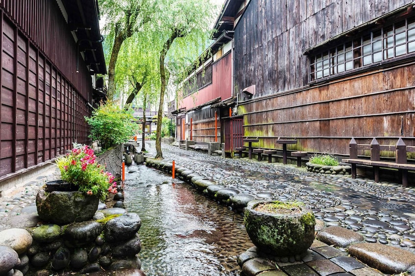 From Nagoya: Gujo, Hida Takayama, and Shirakawa-go Day Tour