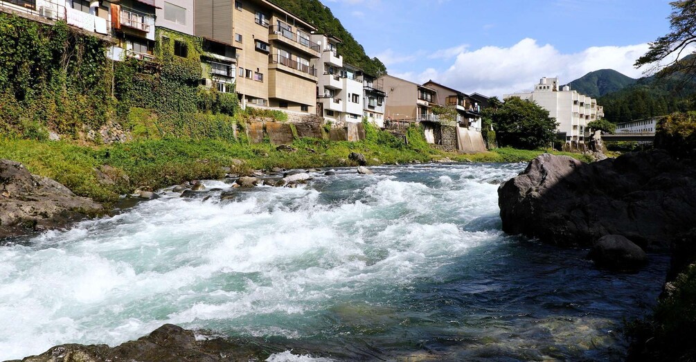 Picture 4 for Activity From Nagoya: Gujo, Hida Takayama, and Shirakawa-go Day Tour