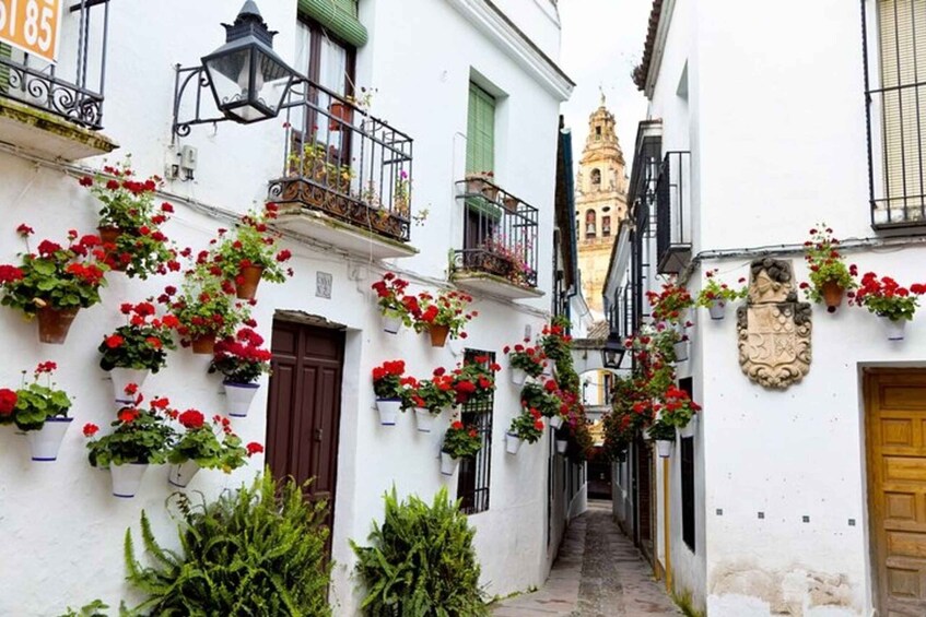 Picture 3 for Activity Córdoba: Private Mosque-Cathedral and City Tour