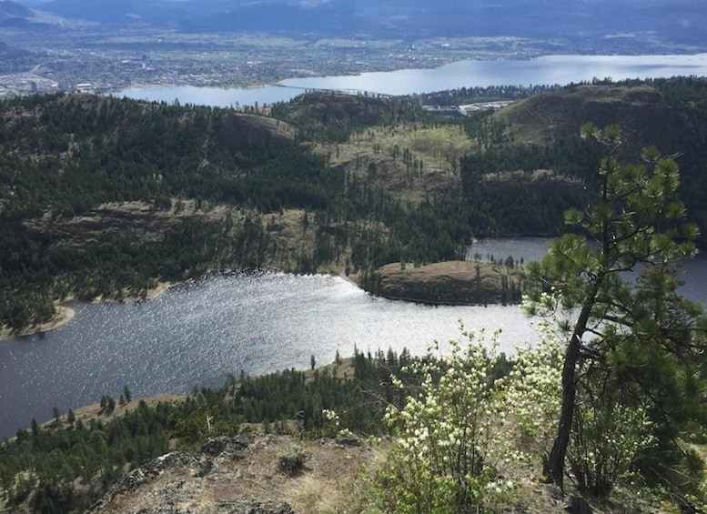 Picture 7 for Activity Kelowna: Guided Hiking Tour