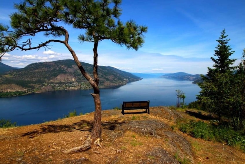 Picture 9 for Activity Kelowna: Guided Hiking Tour