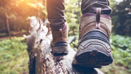 Kelowna: Guided Hiking Tour