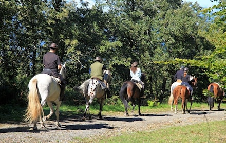 Horse Riding Through The valleys + food tasting