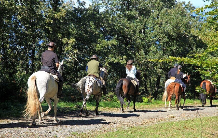 Horse Riding Through The valleys + food tasting