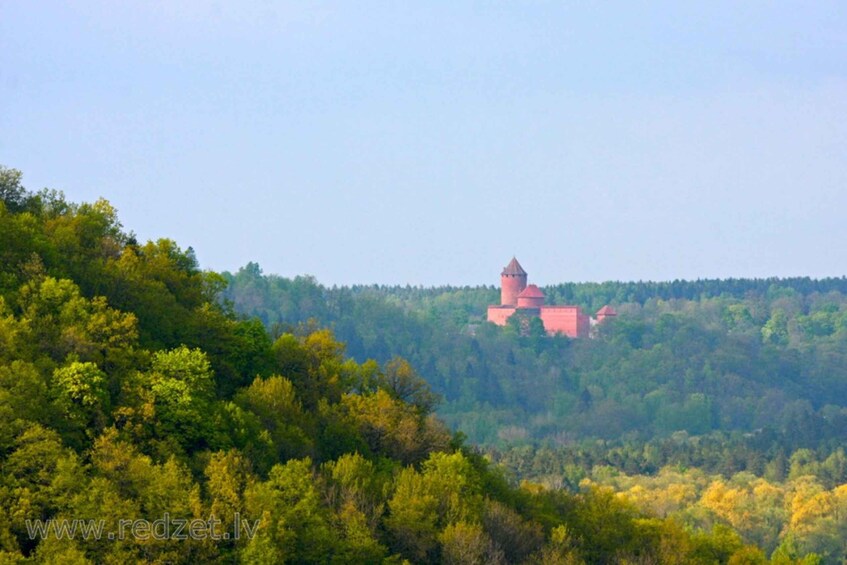 Picture 4 for Activity From Riga: Private Transfer to Tallinn with Sightseeing