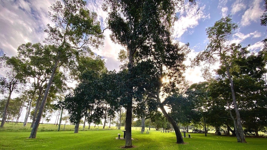 Bundaberg: Family-Friendly Entry Ticket to Splitters Farm
