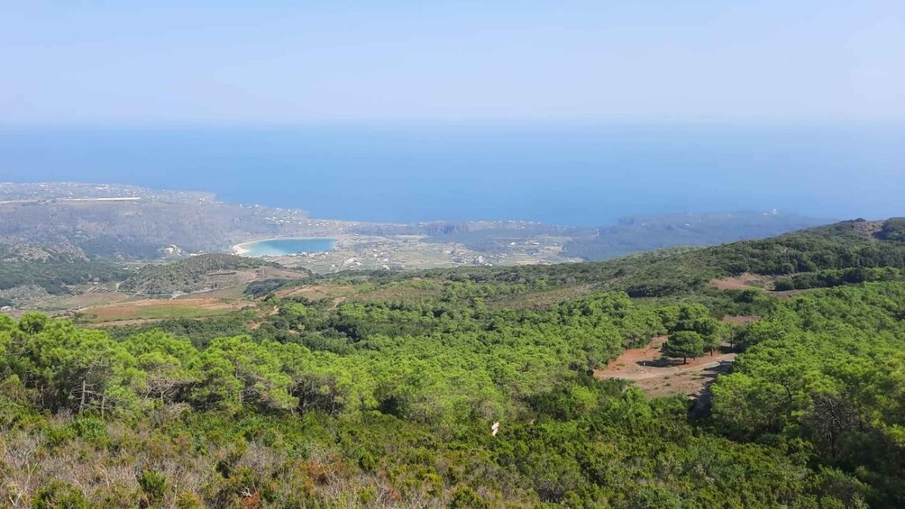 Picture 3 for Activity Pantelleria e i suoi Vini Degustazioni