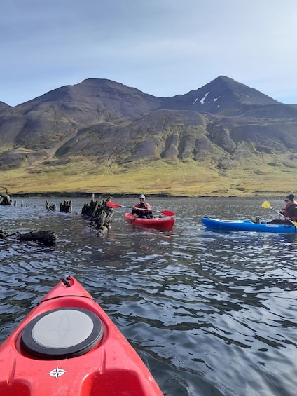 Picture 2 for Activity Guided kayak tour in Siglufjörður / Siglufjordur.