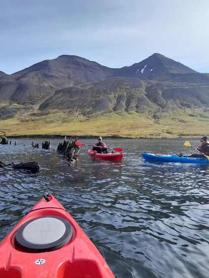 Picture 2 for Activity Guided kayak tour in Siglufjörður / Siglufjordur.