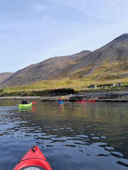 Picture 3 for Activity Guided kayak tour in Siglufjörður / Siglufjordur.