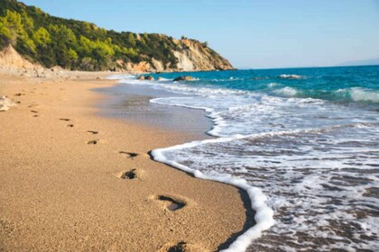 Kefalonia: Avithos Beach Escape & Culinary Wine Experience