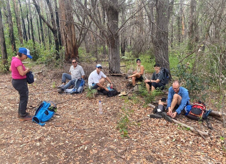 Picture 15 for Activity South West WA: 2 days fully catered hike & tenting adventure