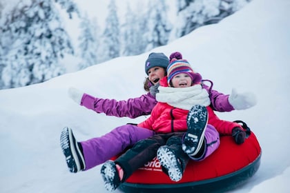 Rovaniemi: recorrido con cena en un restaurante de nieve