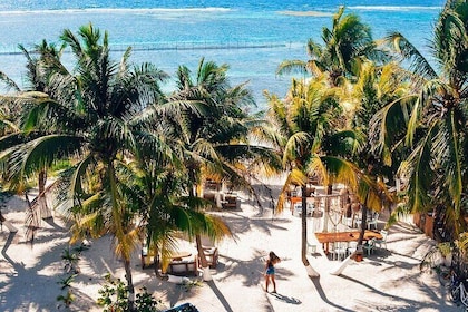 Excursión en tierra: escapada definitiva a la playa en la Costa Maya