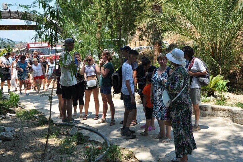 Full-Day Manavgat Waterfall and Canyon Tour with Pick Up