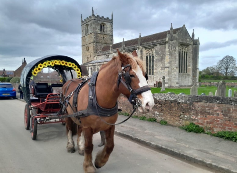 Picture 5 for Activity York: Private Horse-Drawn Carriage Ride and Afternoon Tea