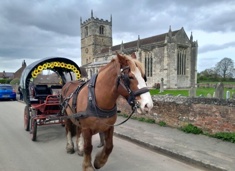 Picture 5 for Activity York: Private Horse-Drawn Carriage Ride and Afternoon Tea