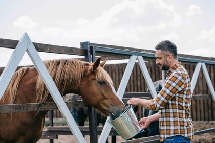 Horse Riding Through The Valleys + lunch