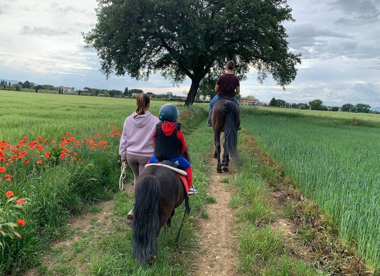 Picture 5 for Activity Horse Riding Through The Valleys + lunch