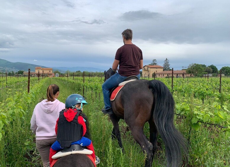 Picture 2 for Activity Horse Riding Through The Valleys + lunch