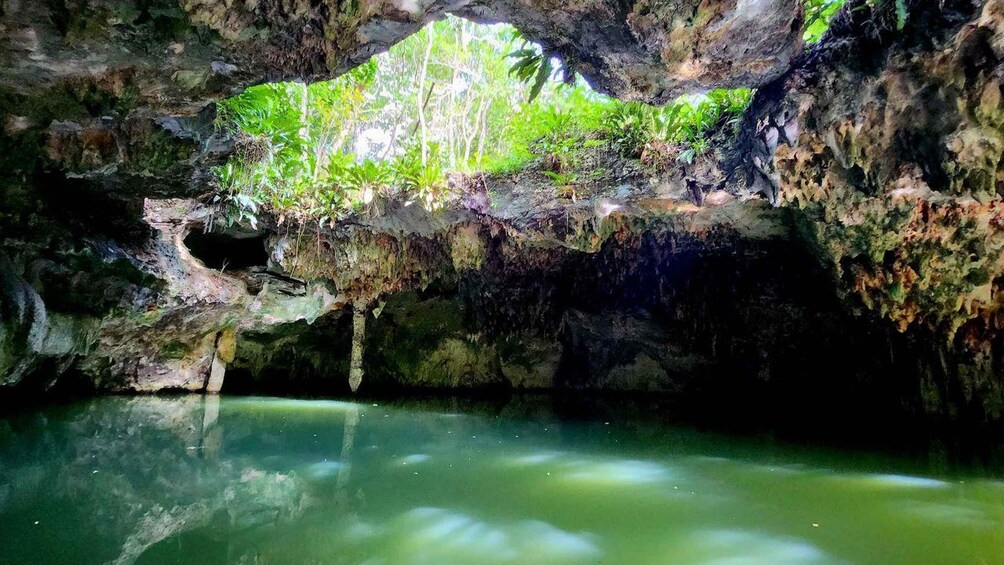 Picture 4 for Activity cozumel: atv off road adventure to Jade Cavern and snorkel