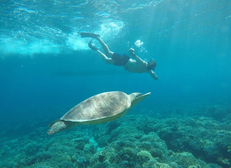 Picture 2 for Activity From Gili Trawangan: Small Group Sunset Snorkeling Tour