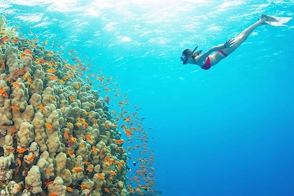 Bali: All-Inclusive Snorkelling at Blue Lagoon Beach