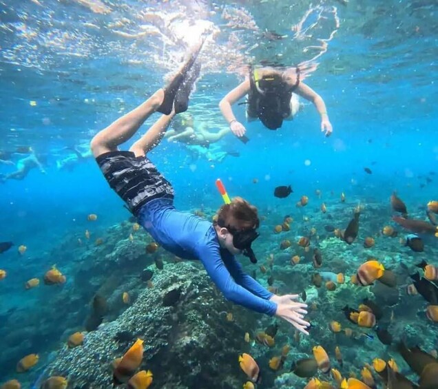 Picture 1 for Activity Bali: All-Inclusive Snorkeling at Blue Lagoon Beach