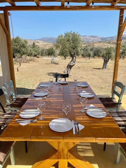 Picture 2 for Activity Naxos: private dining in the olive grove